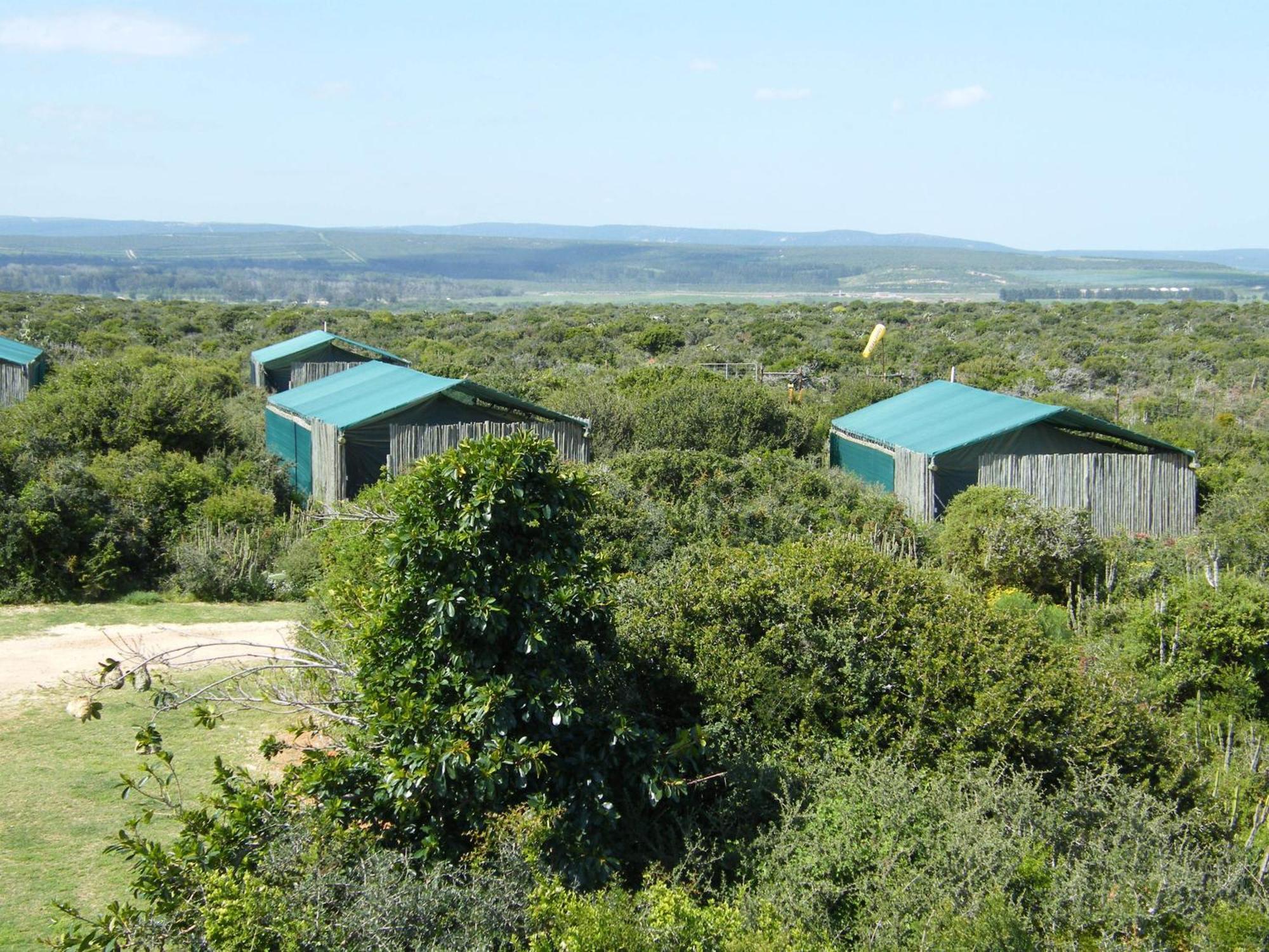 Kudu Ridge Game Lodge Addo Quarto foto